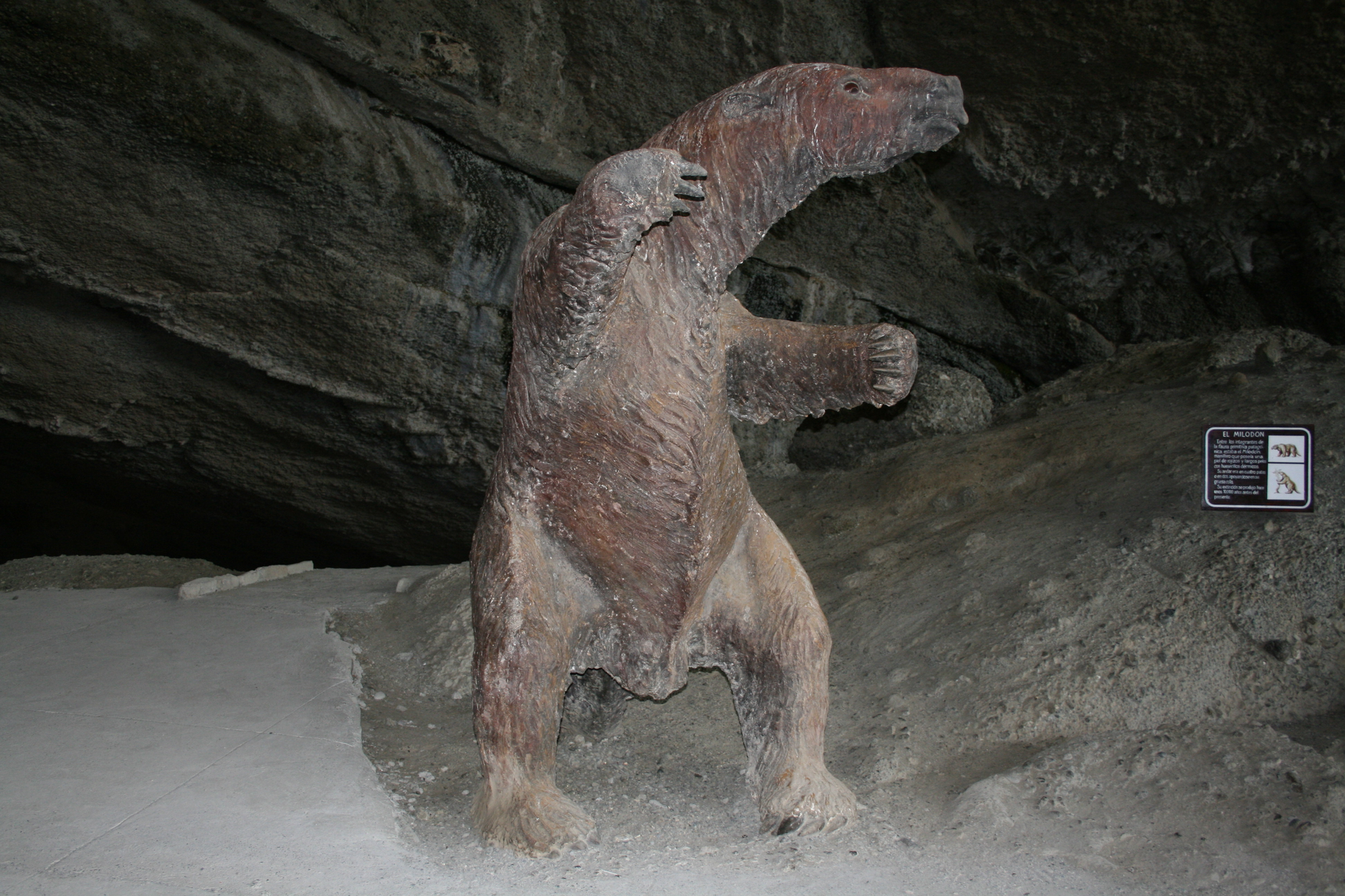Modelo del milodón
